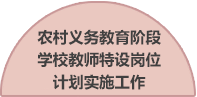 农村义务教育阶段学校教师特设岗位计划实施工作