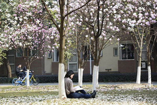 电子科技大学：春和景明好时光，成电无处不书香！